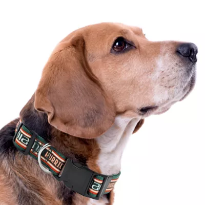Pets First University of Miami Satin Collar - Image 3