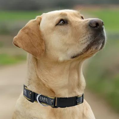 Pets First Las Vegas Golden Knights Satin Collar - Image 4