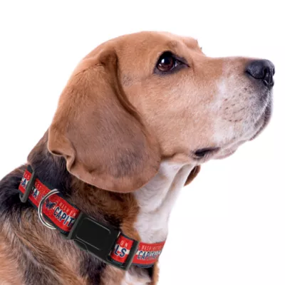 Pets First Washington Capitals Satin Collar - Image 3