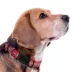 Pets First Washington Capitals Satin Collar image thumbnail 3