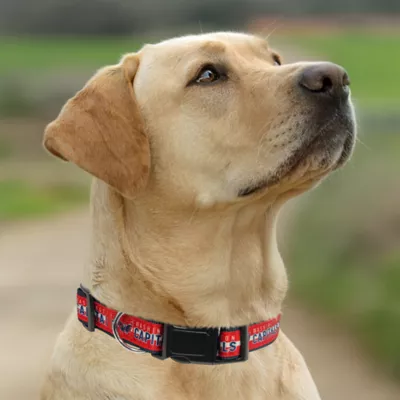 Pets First Washington Capitals Satin Collar - Image 4