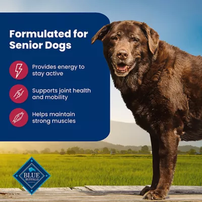 Blue Buffalo Life Protection Formula Senior 7+ Dry Dog Food - Salmon & Brown Rice - Image 4