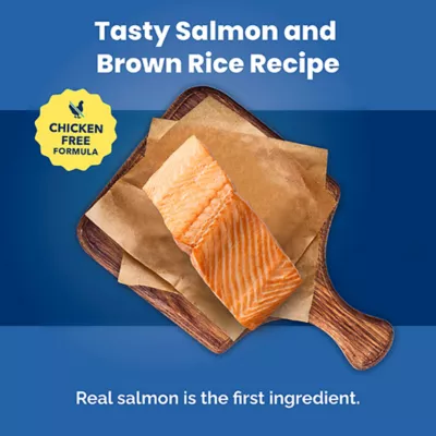 Blue Buffalo Life Protection Formula Senior 7+ Dry Dog Food - Salmon & Brown Rice - Image 3