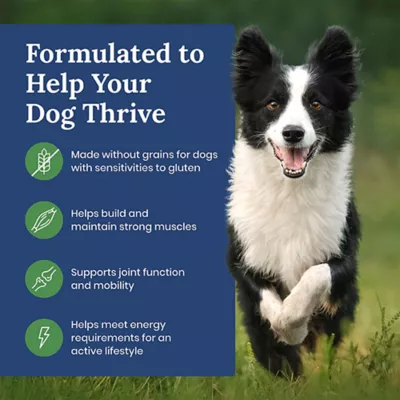 Blue Buffalo Life Protection Formula Adult Dry Dog Food - Lamb, Grain-Free - Image 4