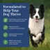 Blue Buffalo Life Protection Formula Adult Dry Dog Food - Lamb, Grain-Free image thumbnail 4
