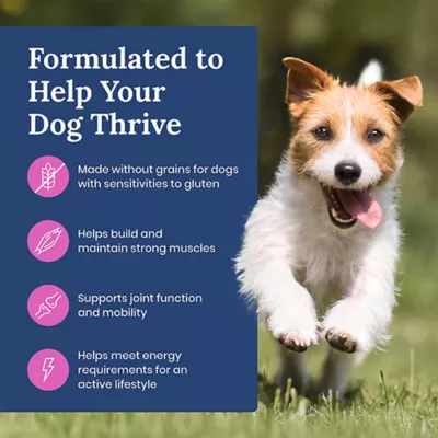 Blue Buffalo Life Protection Formula Small Breed Adult Dry Dog Food - Chicken, Grain-Free - Image 4