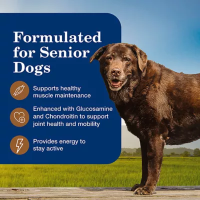 Blue Buffalo Homestyle Recipe Senior 7+ Wet Dog Food - Turkey & Vegetable, 12.5 oz - Image 4