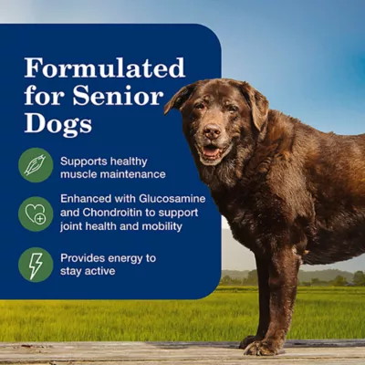 Blue Buffalo Homestyle Recipe Senior 7+ Wet Dog Food - Lamb & Vegetable, 12.5 oz - Image 4