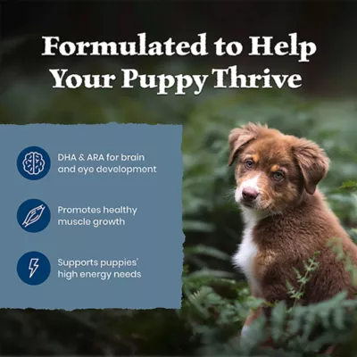 Blue Buffalo Wilderness Puppy Dry Dog Food - Lamb, Chicken Free Formula - Image 4