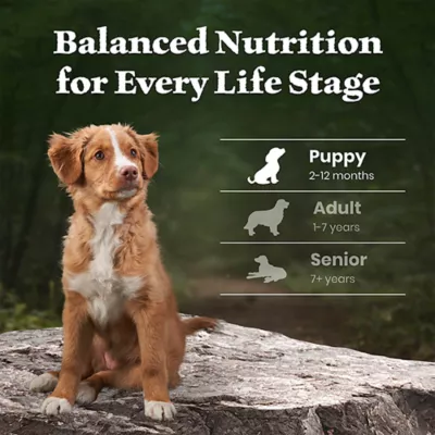 Blue Buffalo Wilderness High Protein Puppy Dry Dog Food - Chicken Free Formula, Lamb - Image 8