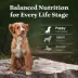 Blue Buffalo Wilderness High Protein Puppy Dry Dog Food - Chicken Free Formula, Lamb image thumbnail 8