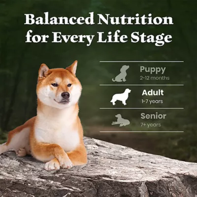 Blue Buffalo Wilderness Adult Dry Dog Food - Lamb, Chicken Free Formula - Image 8