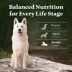 Blue Buffalo Wilderness High Protein Senior Dry Dog Food - Chicken Free Formula, Lamb image thumbnail 8