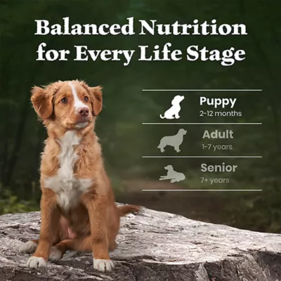 Blue Buffalo Wilderness High Protein Puppy Dry Dog Food - Chicken Free Formula, Lamb - Image 8