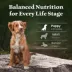 Blue Buffalo Wilderness High Protein Puppy Dry Dog Food - Chicken Free Formula, Lamb image thumbnail 8