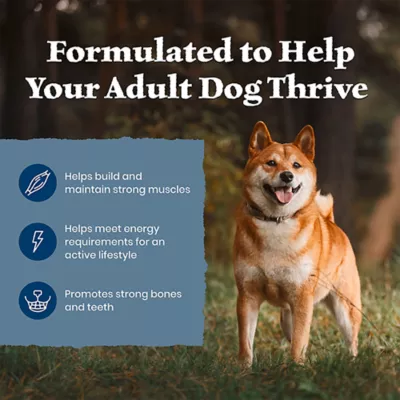 Blue Buffalo Wilderness Adult Dry Dog Food - Lamb, Chicken Free Formula - Image 4