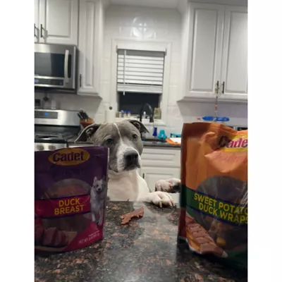 Cadet Gourmet Sweet Potato & Duck Wrapped Dog Treats Duck & Sweet Potato 28 oz - Image 3