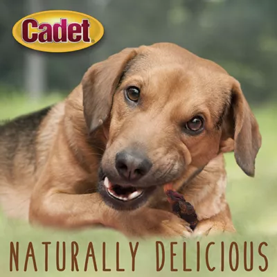 Cadet Gourmet Sweet Potato & Duck Wrapped Dog Treats Duck & Sweet Potato 28 oz - Image 5