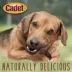 Cadet Gourmet Sweet Potato & Duck Wrapped Dog Treats Duck & Sweet Potato 28 oz image thumbnail 5