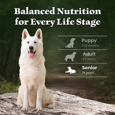 Blue Buffalo Wilderness High Protein Senior Dry Dog Food - Chicken Free Formula, Lamb - Image 8