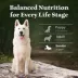 Blue Buffalo Wilderness High Protein Senior Dry Dog Food - Chicken Free Formula, Lamb image thumbnail 8