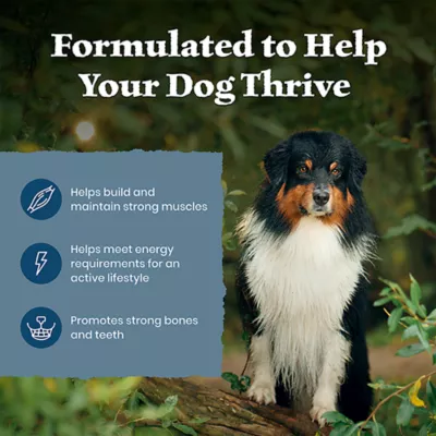 Blue Buffalo Wilderness Large Breed Adult Dry Dog Food - Chicken, High-Protein, Grain-Free - Image 4