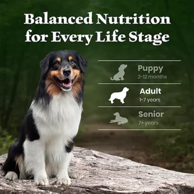 Blue Buffalo Wilderness Large Breed Adult Dry Dog Food - Chicken, High-Protein, Grain-Free - Image 8