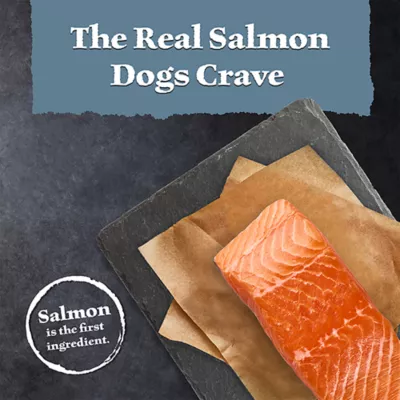 Blue Buffalo Wilderness High Protein Large Breed Adult Dry Dog Food - Grain Free, Salmon - Image 3