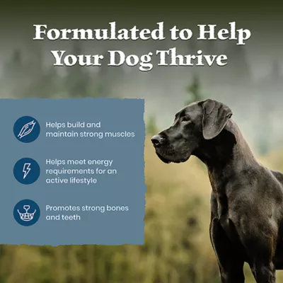 Blue Buffalo Wilderness High Protein Large Breed Adult Dry Dog Food - Grain Free, Salmon - Image 4
