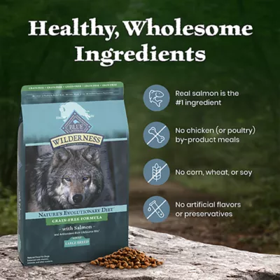 Blue Buffalo Wilderness High Protein Large Breed Adult Dry Dog Food - Grain Free, Salmon - Image 6