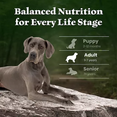 Blue Buffalo Wilderness High Protein Large Breed Adult Dry Dog Food - Grain Free, Salmon - Image 8