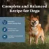 Blue Buffalo Wilderness Protein Powered Meals Adult Wet Dog Food - 9 oz Pouch image thumbnail 4
