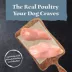Blue Buffalo Wilderness Protein Powered Meals Adult Wet Dog Food - 9 oz Pouch image thumbnail 3
