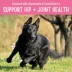 Full Moon Hip & Joint Health All Life Stages Natural Dog Treats - Chicken Jerky 12 oz image thumbnail 4