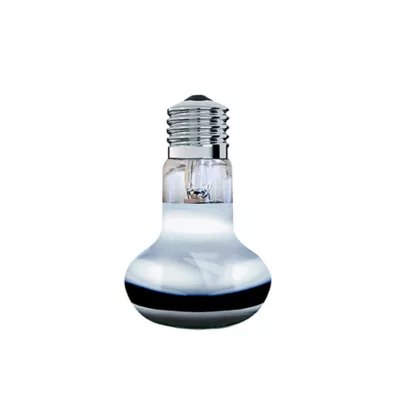 Arcadia GoldenSun Colored Basking Spot Reptile Bulb - Image 4