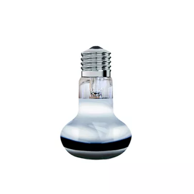 Arcadia GoldenSun Colored Basking Spot Reptile Bulb - Image 4