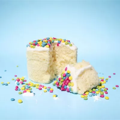 Puppy Cake All Life Stages Birthday Dog Treat - 4 oz - Image 5