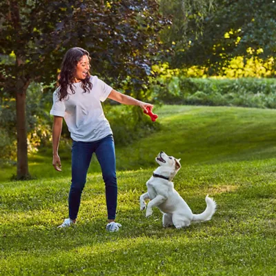 Pup-Peroni All Life Stages Meaty Dog Treat - Beef .05 oz - Image 5