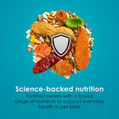 Kaytee Forti-Diet Pro Health Nourish+Protect Parrot Food - Image 7