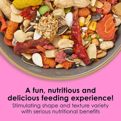 Kaytee Fiesta Big Bites Small Parrot & Conure Food - Image 2