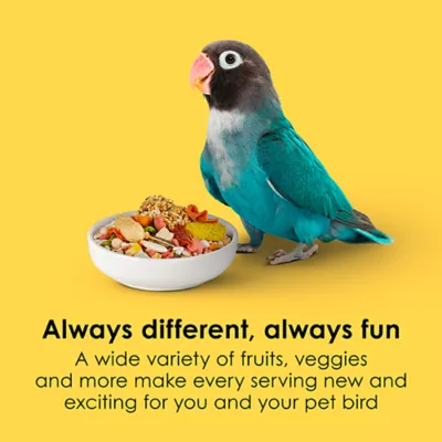 Kaytee Fiesta Big Bites Small Parrot & Conure Food - Image 3