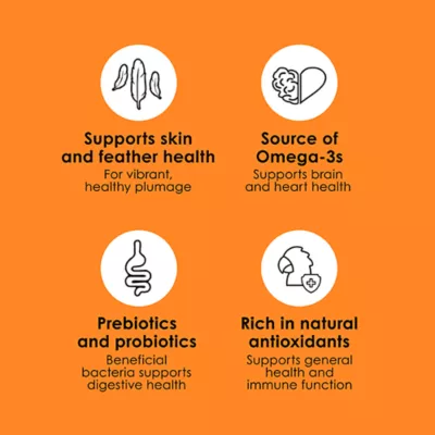 Kaytee Fiesta Big Bites Small Parrot & Conure Food - Image 5