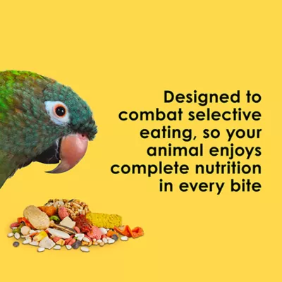 Kaytee Fiesta Big Bites Small Parrot & Conure Food - Image 6