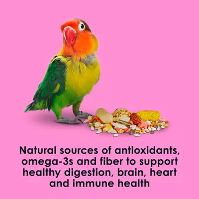 Kaytee Fiesta Big Bites Small Parrot & Conure Food - Image 7