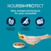 Kaytee Forti-Diet Pro Health Nourish+Protect Cockatiel Food image thumbnail 3