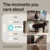 PetLibro Scout Smart Pet Camera image thumbnail 3
