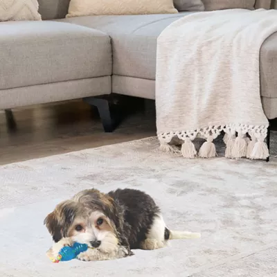 Petstages® ORKA# Chew Dog Toy - 2 Pack - Image 4