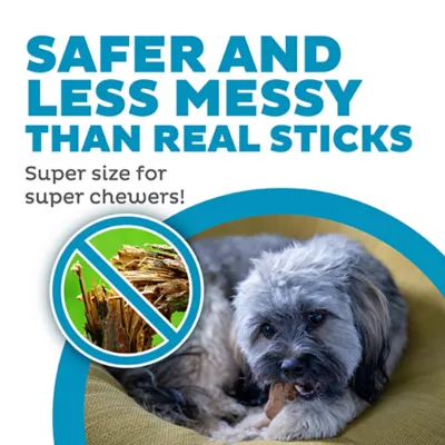 Outward Hound® Squeaker Ballz Dog Toy - 4 Pack - Image 2