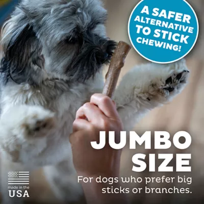 Outward Hound® Squeaker Ballz Dog Toy - 4 Pack - Image 4