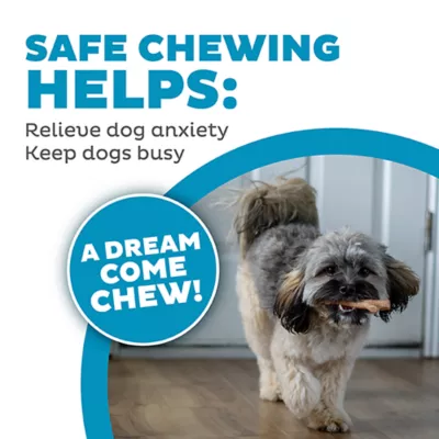 Outward Hound® Squeaker Ballz Dog Toy - 4 Pack - Image 5